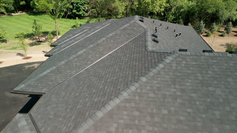 Best Skylight Installation and Repair  in Columbus Junction, IA