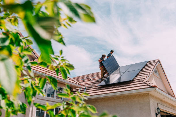 Best Roof Moss and Algae Removal  in Columbus Junction, IA