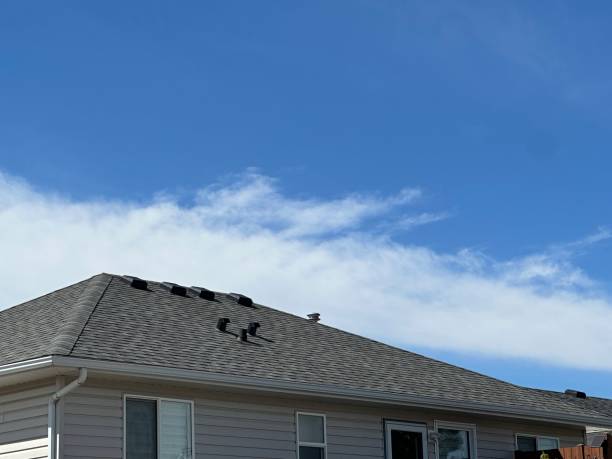 Best Roof Installation  in Columbus Junction, IA